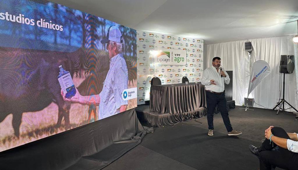 Terneros saludables: un suplemento con selenio fortalece la inmunidad del rodeo