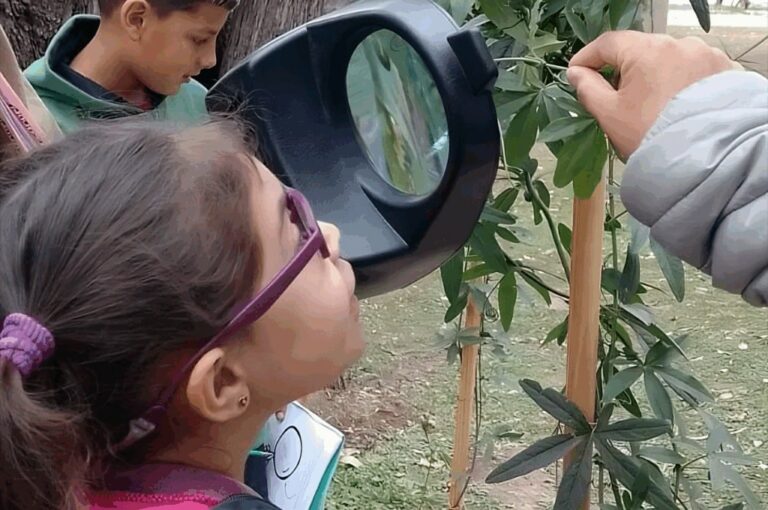 Cine en el Teatro y talleres en el Museo, las propuestas para las vacaciones de invierno