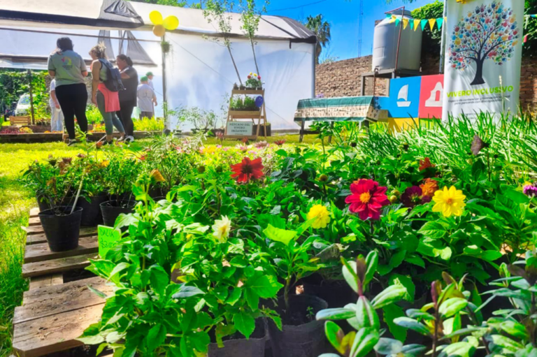 El Vivero Inclusivo celebrará una gran feria en la previa de Navidad El Vivero Inclusivo celebrará una gran feria en la previa de Navidad